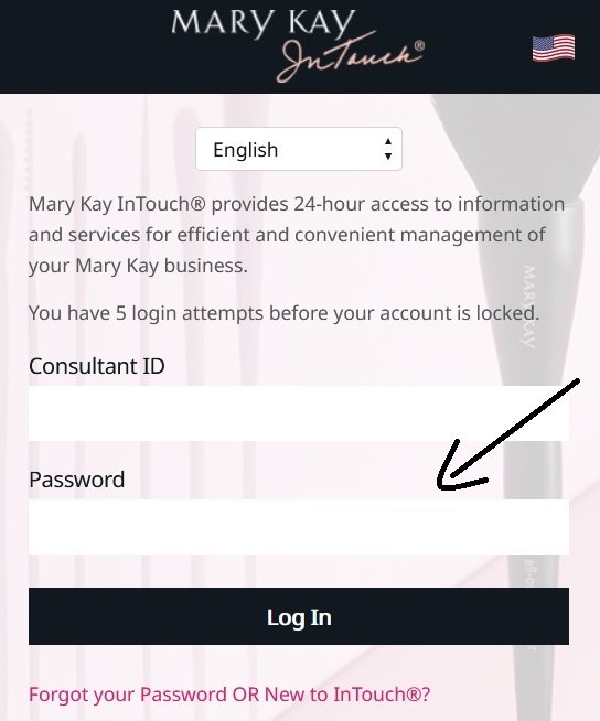 MaryKayInTouch password box